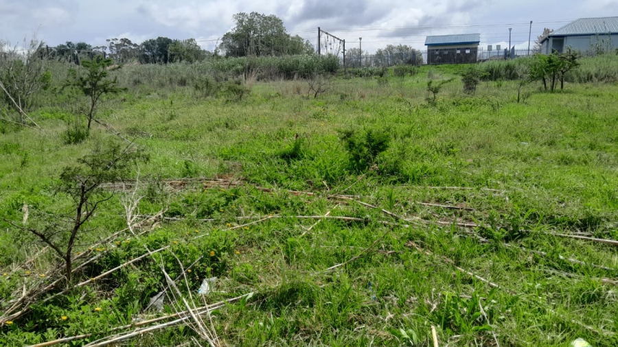 0 Bedroom Property for Sale in Berlin Eastern Cape